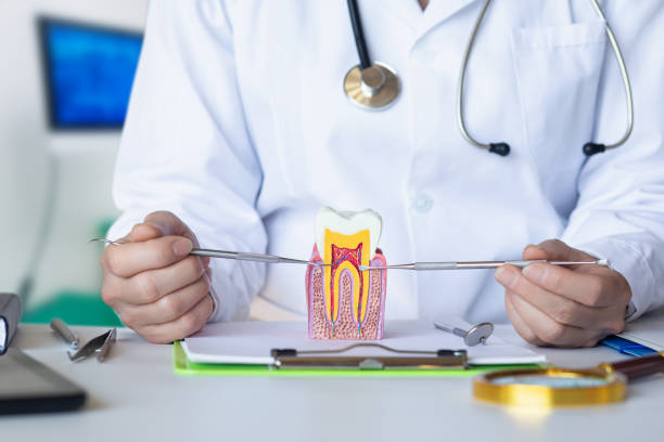 Best Emergency Treatment for Dental Infections or Abscesses in Bella Vista, AR
